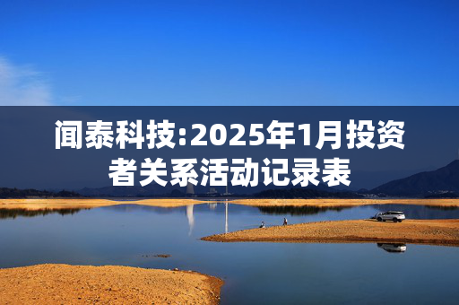 闻泰科技:2025年1月投资者关系活动记录表