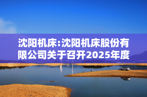 沈阳机床:沈阳机床股份有限公司关于召开2025年度第一次临时股东大会的通知