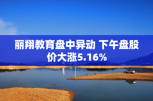 丽翔教育盘中异动 下午盘股价大涨5.16%